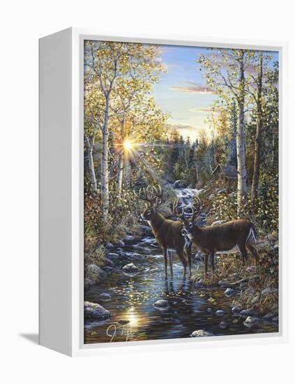 Whitetail Deer-Jeff Tift-Framed Premier Image Canvas