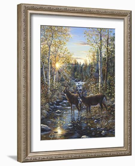 Whitetail Deer-Jeff Tift-Framed Giclee Print