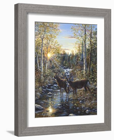 Whitetail Deer-Jeff Tift-Framed Giclee Print