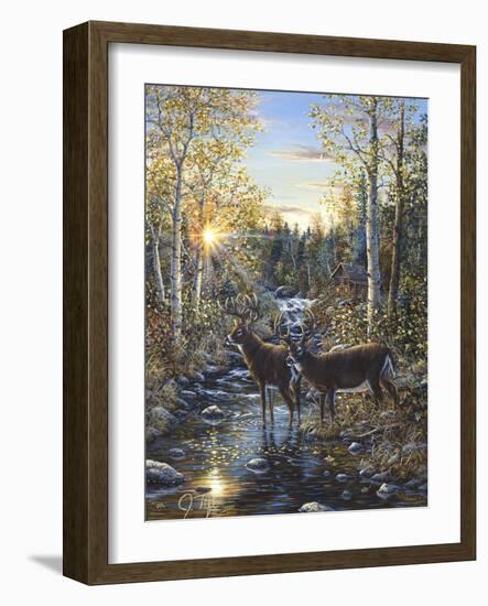 Whitetail Deer-Jeff Tift-Framed Giclee Print