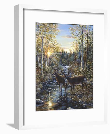 Whitetail Deer-Jeff Tift-Framed Giclee Print