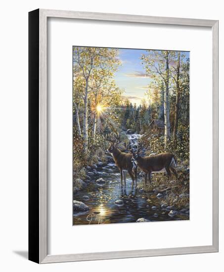 Whitetail Deer-Jeff Tift-Framed Giclee Print