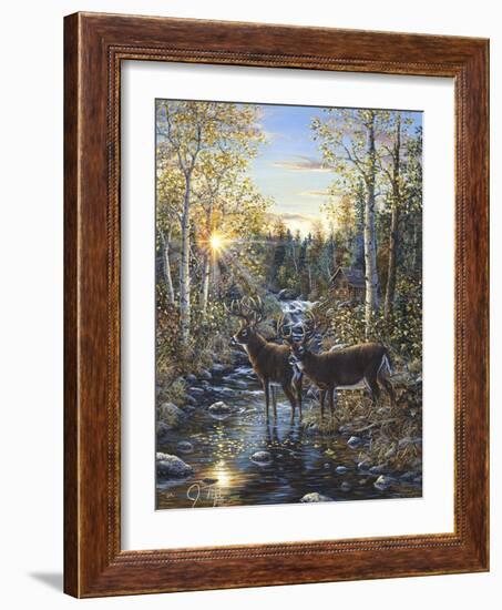 Whitetail Deer-Jeff Tift-Framed Giclee Print