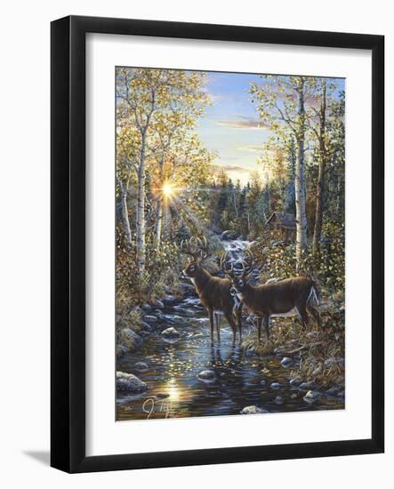 Whitetail Deer-Jeff Tift-Framed Giclee Print