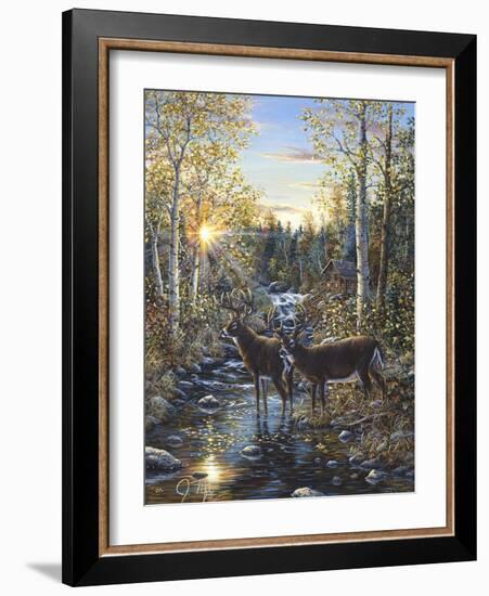 Whitetail Deer-Jeff Tift-Framed Giclee Print