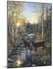 Whitetail Deer-Jeff Tift-Mounted Giclee Print