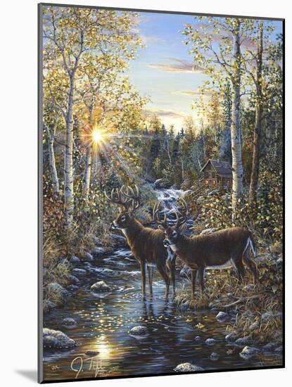 Whitetail Deer-Jeff Tift-Mounted Giclee Print