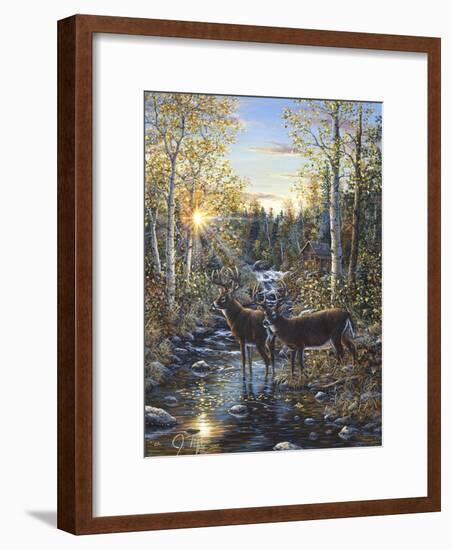 Whitetail Deer-Jeff Tift-Framed Giclee Print