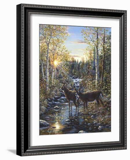 Whitetail Deer-Jeff Tift-Framed Giclee Print