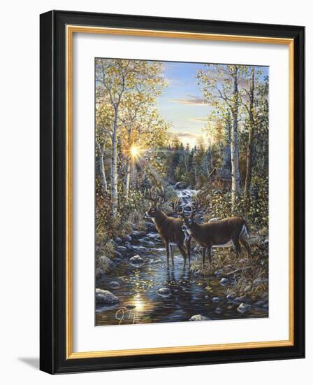 Whitetail Deer-Jeff Tift-Framed Giclee Print