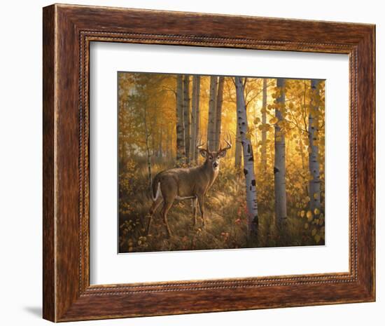 Whitetail in Aspens-Greg Alexander-Framed Art Print