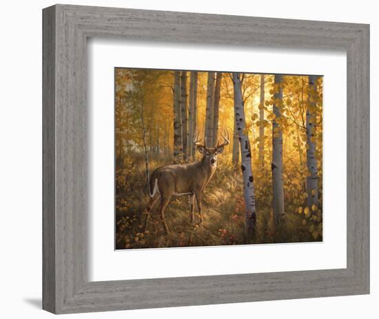 Whitetail in Aspens-Greg Alexander-Framed Art Print