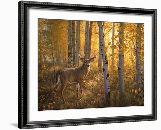 Whitetail in Aspens-Greg Alexander-Framed Art Print