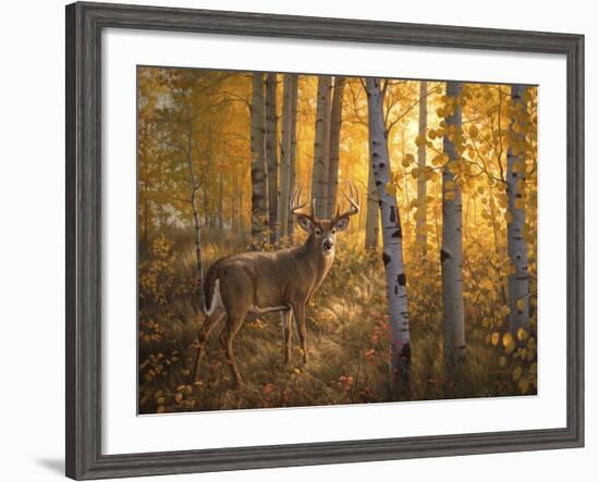 Whitetail in Aspens-Greg Alexander-Framed Art Print