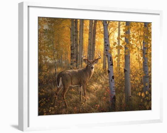 Whitetail in Aspens-Greg Alexander-Framed Art Print