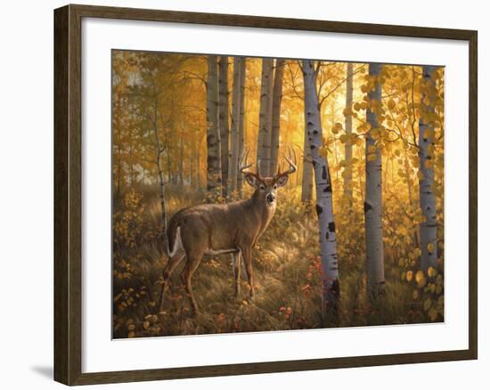 Whitetail in Aspens-Greg Alexander-Framed Art Print