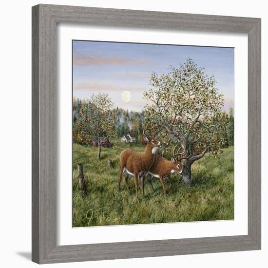 Whitetails under the Apple Tree-Jeff Tift-Framed Giclee Print