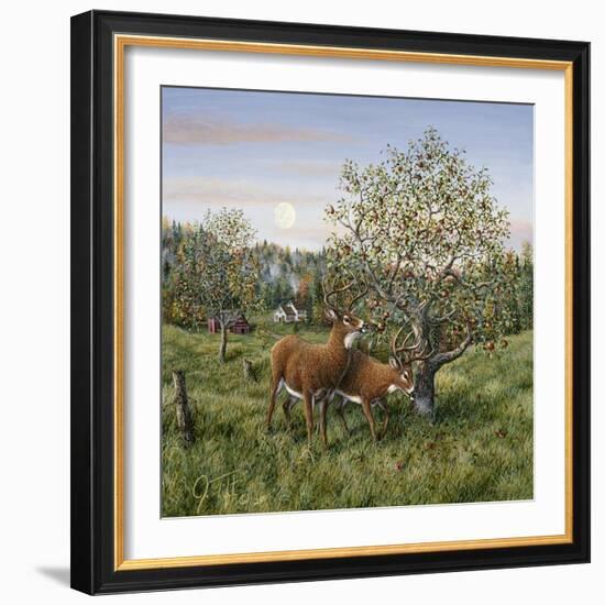 Whitetails under the Apple Tree-Jeff Tift-Framed Giclee Print