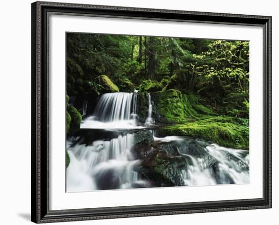 Whitewater Creek Falls, Willamette National Forest, Oregon, USA-Stuart Westmorland-Framed Photographic Print