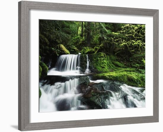 Whitewater Creek Falls, Willamette National Forest, Oregon, USA-Stuart Westmorland-Framed Photographic Print