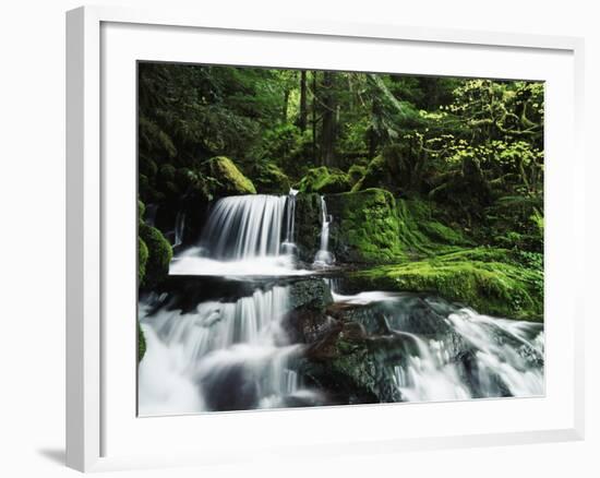 Whitewater Creek Falls, Willamette National Forest, Oregon, USA-Stuart Westmorland-Framed Photographic Print