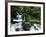 Whitewater Creek Falls, Willamette National Forest, Oregon, USA-Stuart Westmorland-Framed Photographic Print