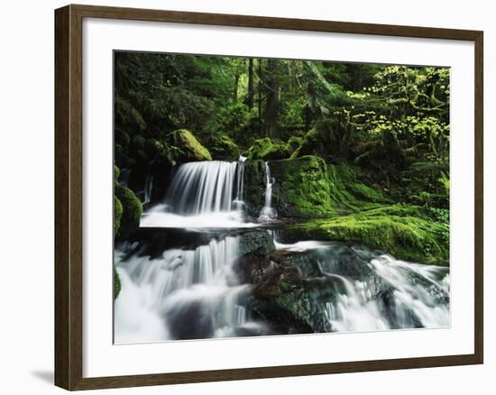 Whitewater Creek Falls, Willamette National Forest, Oregon, USA-Stuart Westmorland-Framed Photographic Print