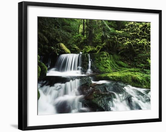 Whitewater Creek Falls, Willamette National Forest, Oregon, USA-Stuart Westmorland-Framed Photographic Print