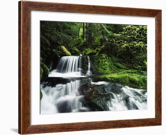 Whitewater Creek Falls, Willamette National Forest, Oregon, USA-Stuart Westmorland-Framed Photographic Print