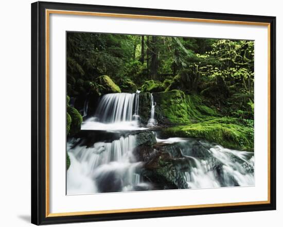 Whitewater Creek Falls, Willamette National Forest, Oregon, USA-Stuart Westmorland-Framed Photographic Print