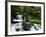 Whitewater Creek Falls, Willamette National Forest, Oregon, USA-Stuart Westmorland-Framed Photographic Print