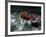 Whitewater Rafting in Salmon River, Idaho, USA-Bill Bachmann-Framed Photographic Print