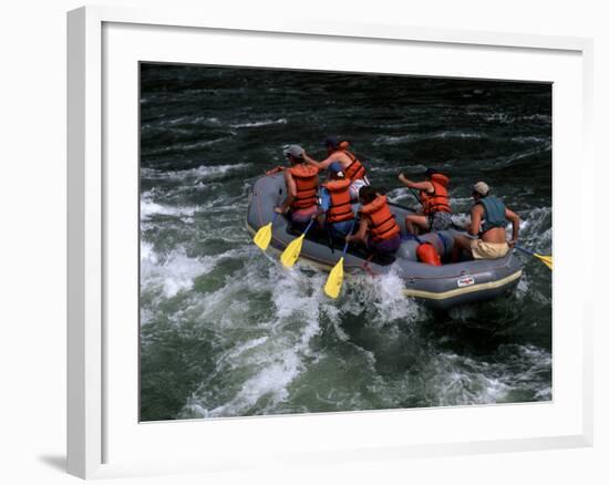 Whitewater Rafting in Salmon River, Idaho, USA-Bill Bachmann-Framed Photographic Print