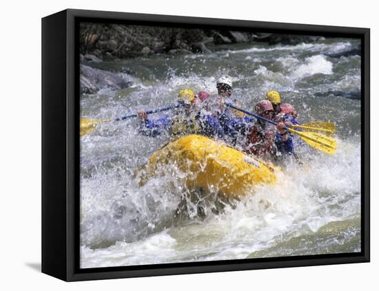 Whitewater Rafting, Montana, USA-Michael DeFreitas-Framed Premier Image Canvas