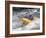 Whitewater Rafting, Montana, USA-Michael DeFreitas-Framed Photographic Print