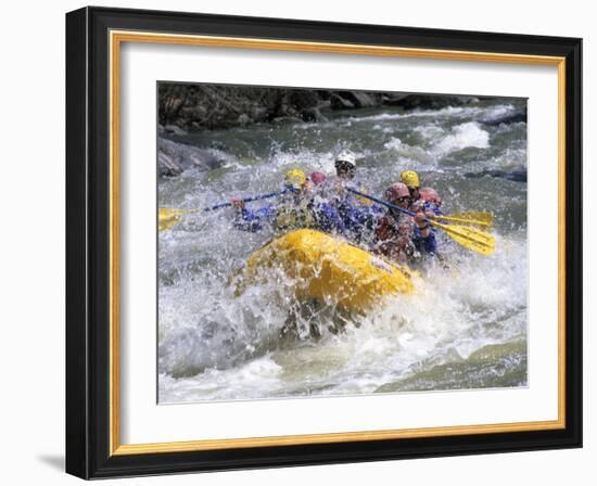 Whitewater Rafting, Montana, USA-Michael DeFreitas-Framed Photographic Print