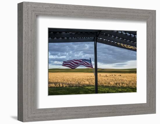 Whitman County, Lacrosse, Pioneer Stock Farm, View from Fran Jones Home of Flag and Pasture-Alison Jones-Framed Photographic Print