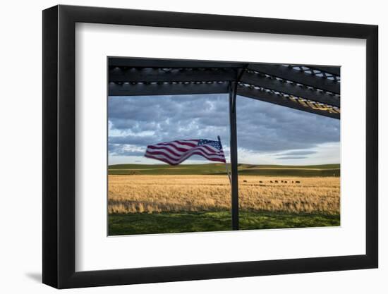 Whitman County, Lacrosse, Pioneer Stock Farm, View from Fran Jones Home of Flag and Pasture-Alison Jones-Framed Photographic Print