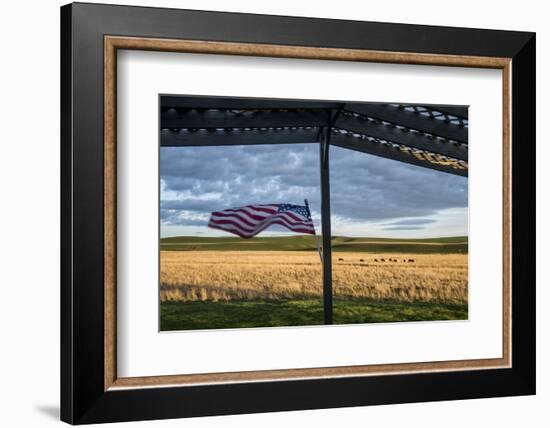 Whitman County, Lacrosse, Pioneer Stock Farm, View from Fran Jones Home of Flag and Pasture-Alison Jones-Framed Photographic Print