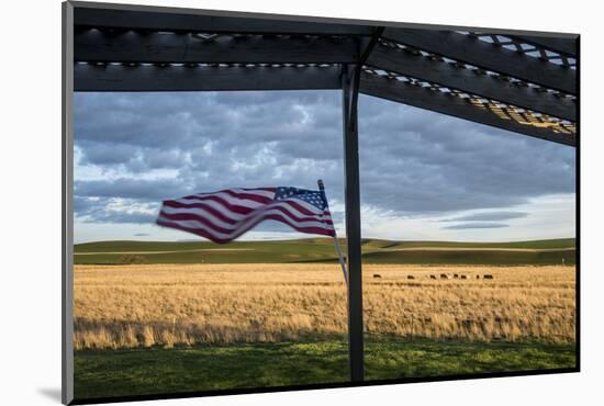 Whitman County, Lacrosse, Pioneer Stock Farm, View from Fran Jones Home of Flag and Pasture-Alison Jones-Mounted Photographic Print