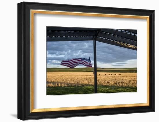 Whitman County, Lacrosse, Pioneer Stock Farm, View from Fran Jones Home of Flag and Pasture-Alison Jones-Framed Photographic Print