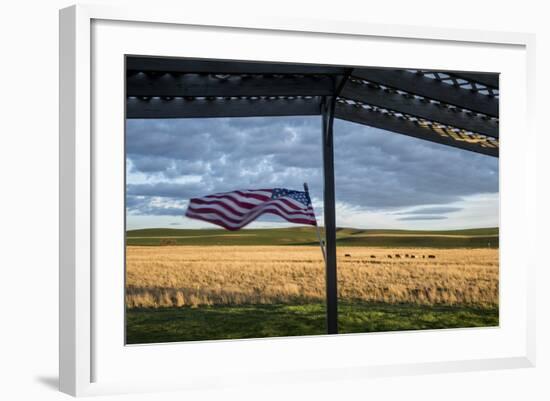 Whitman County, Lacrosse, Pioneer Stock Farm, View from Fran Jones Home of Flag and Pasture-Alison Jones-Framed Photographic Print