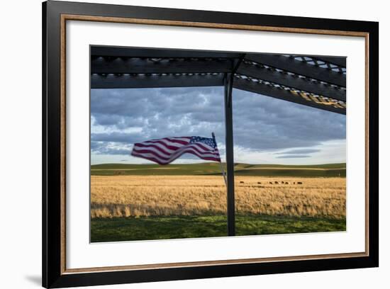 Whitman County, Lacrosse, Pioneer Stock Farm, View from Fran Jones Home of Flag and Pasture-Alison Jones-Framed Photographic Print