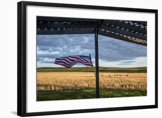 Whitman County, Lacrosse, Pioneer Stock Farm, View from Fran Jones Home of Flag and Pasture-Alison Jones-Framed Photographic Print