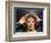 Whitney Houston-null-Framed Photo