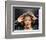 Whitney Houston-null-Framed Photo