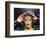 Whitney Houston-null-Framed Photo