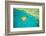 Whitsunday Islands, Great Barrier Reef, Australia-Inaki Relanzon-Framed Photographic Print