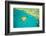 Whitsunday Islands, Great Barrier Reef, Australia-Inaki Relanzon-Framed Photographic Print