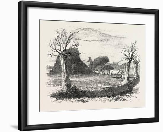 Whittlesea Mere, Carting Peat from the Stack, UK, 1851-null-Framed Giclee Print